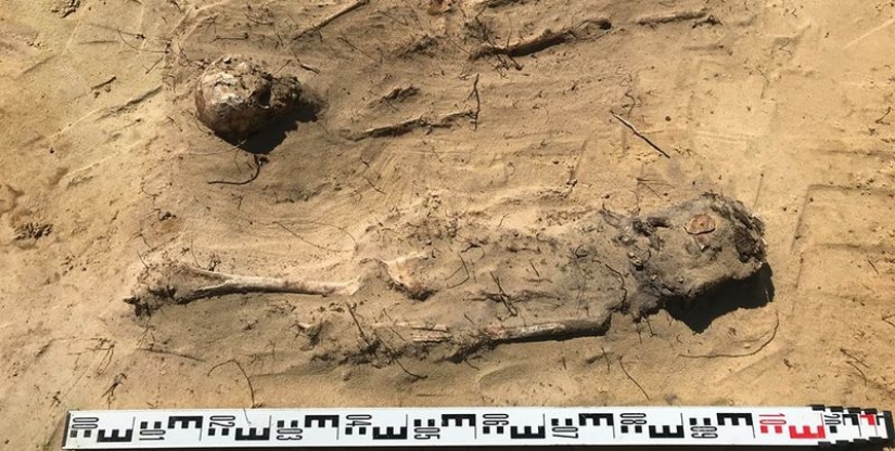 Mass burial of children with coins in their mouths found in Poland Mass burial of children with coins in their mouths found in Poland