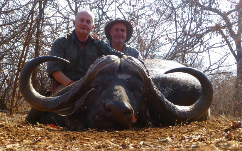 Matanza legalizada: Defensores de los animales se oponen a la caza de trofeos en Sudáfrica Matanza legalizada: Defensores de los animales se oponen a la caza de trofeos en Sudáfrica