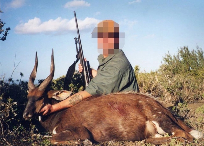 Matanza legalizada: Defensores de los animales se oponen a la caza de trofeos en Sudáfrica Matanza legalizada: Defensores de los animales se oponen a la caza de trofeos en Sudáfrica