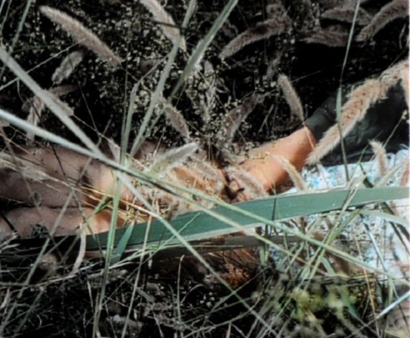 "Me mataron hoy": la policía contó en Twitter sobre el último día de vida de una niña asesinada en 1973