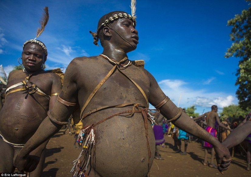 Men of the Ethiopian tribe drink blood with milk to get the title of the fattest inhabitant of the village