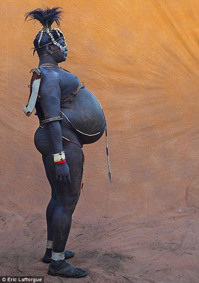 Men of the Ethiopian tribe drink blood with milk to get the title of the fattest inhabitant of the village