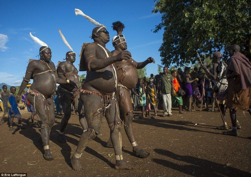 Men of the Ethiopian tribe drink blood with milk to get the title of the fattest inhabitant of the village