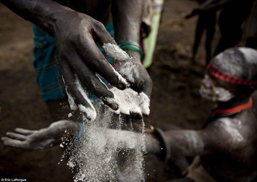 Men of the Ethiopian tribe drink blood with milk to get the title of the fattest inhabitant of the village