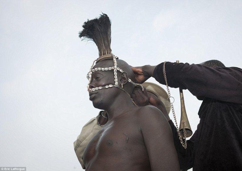 Men of the Ethiopian tribe drink blood with milk to get the title of the fattest inhabitant of the village