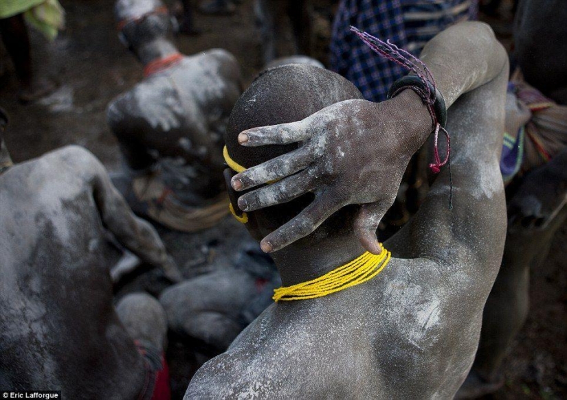 Men of the Ethiopian tribe drink blood with milk to get the title of the fattest inhabitant of the village