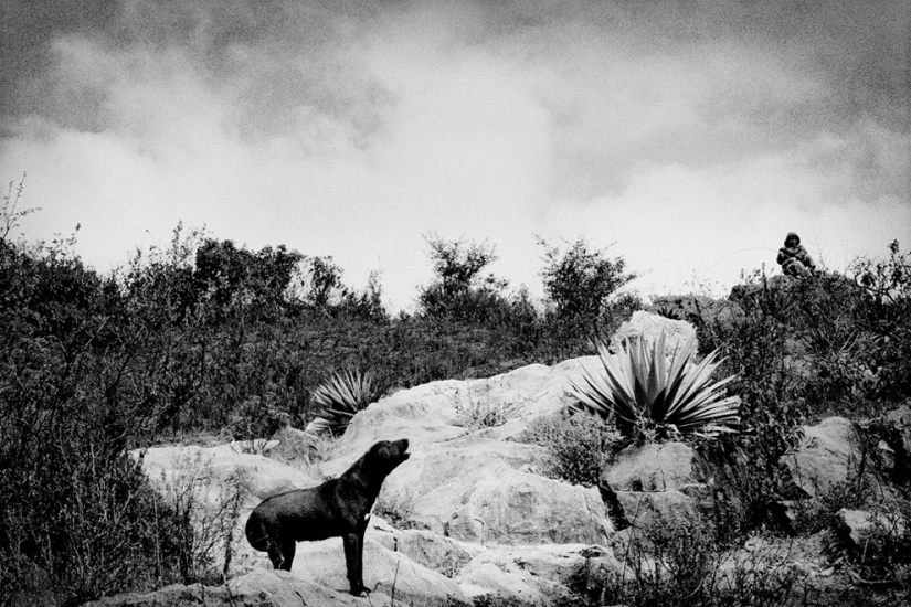 Mexican Mixteca is the most eroded place on Earth