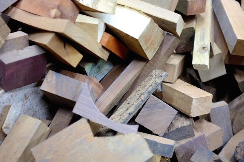 Minimalismo perfecto: lindos animalitos que sorprenden con su elegancia Minimalismo perfecto: lindos animalitos que sorprenden con su elegancia