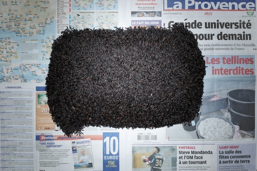 Minimum wealth of people in different countries