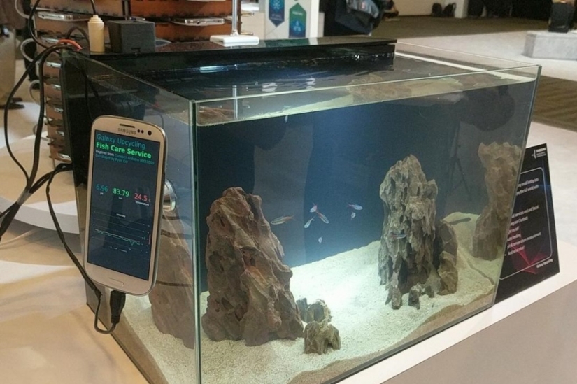 Money from old mobile phones: Samsung has built a mining farm from Galaxy S5