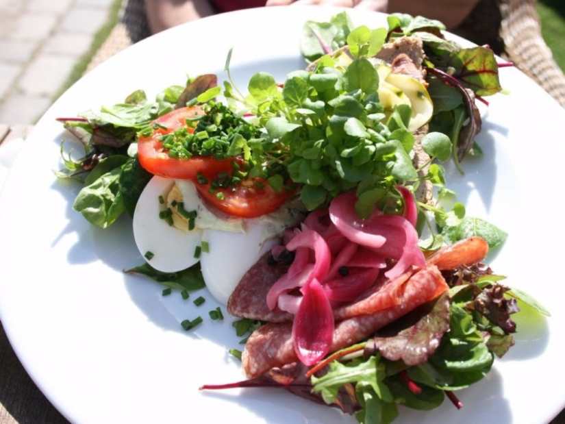 Mouth-watering tourism: 15 must-try dishes of Europe