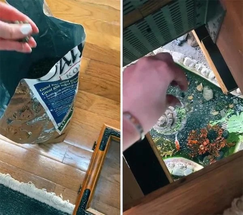 Muéstrame tu casa! Los 20 mejores lugares en los apartamentos de los usuarios de Tick-Tok