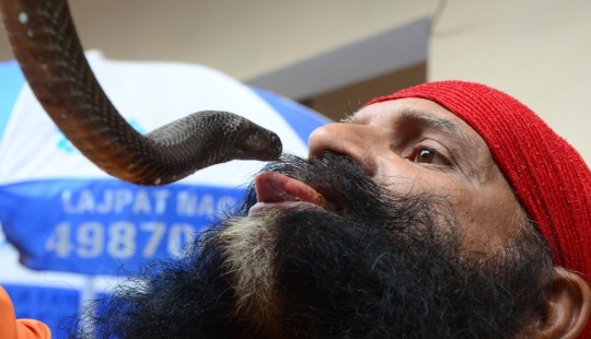 Nagapanchami es una fiesta hindú en la que todos engatusan a las serpientes en lugar de trabajar