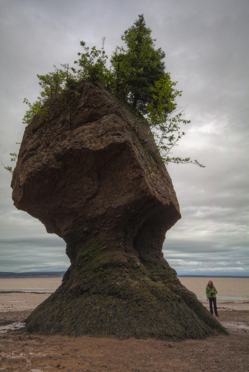 Natural wonder — Hopewell Rocks in the Bay of Fundy Natural wonder — Hopewell Rocks in the Bay of Fundy