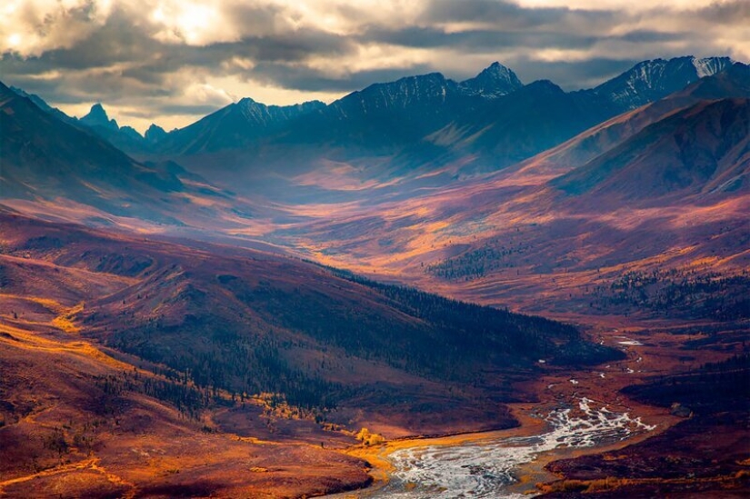 Nature fascinates: photos of the winners of GDT Nature Photographer of the Year 2020 Nature fascinates: photos of the winners of GDT Nature Photographer of the Year 2020