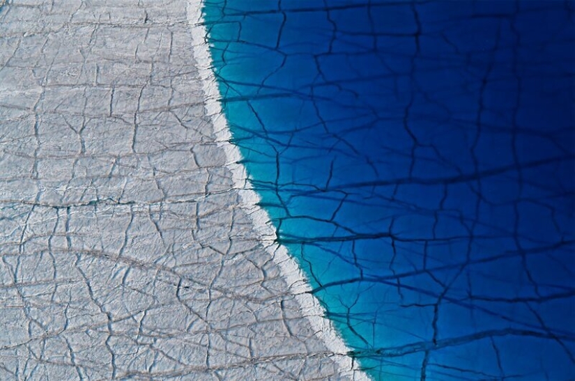 Nature fascinates: photos of the winners of GDT Nature Photographer of the Year 2020 Nature fascinates: photos of the winners of GDT Nature Photographer of the Year 2020