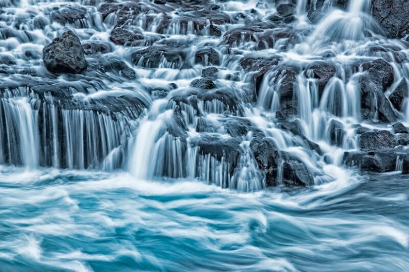 Nature fascinates: photos of the winners of GDT Nature Photographer of the Year 2020 Nature fascinates: photos of the winners of GDT Nature Photographer of the Year 2020