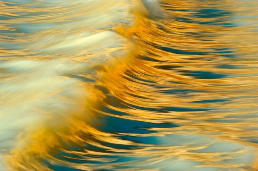 Nature fascinates: photos of the winners of GDT Nature Photographer of the Year 2020 Nature fascinates: photos of the winners of GDT Nature Photographer of the Year 2020