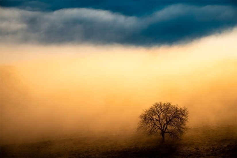 Nature fascinates: photos of the winners of GDT Nature Photographer of the Year 2020 Nature fascinates: photos of the winners of GDT Nature Photographer of the Year 2020