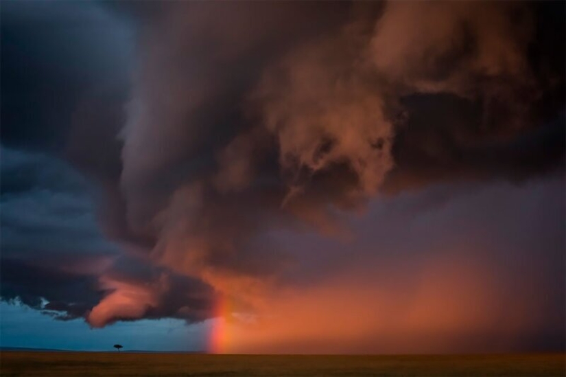 Nature fascinates: photos of the winners of GDT Nature Photographer of the Year 2020 Nature fascinates: photos of the winners of GDT Nature Photographer of the Year 2020