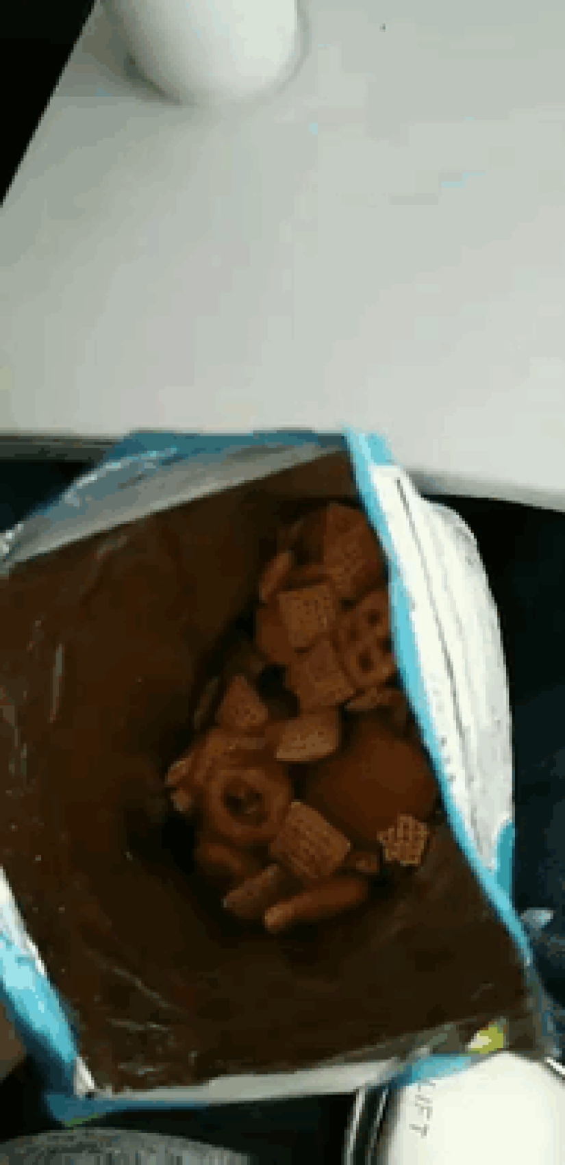 Netizens shared photos of strange neighbors on planes