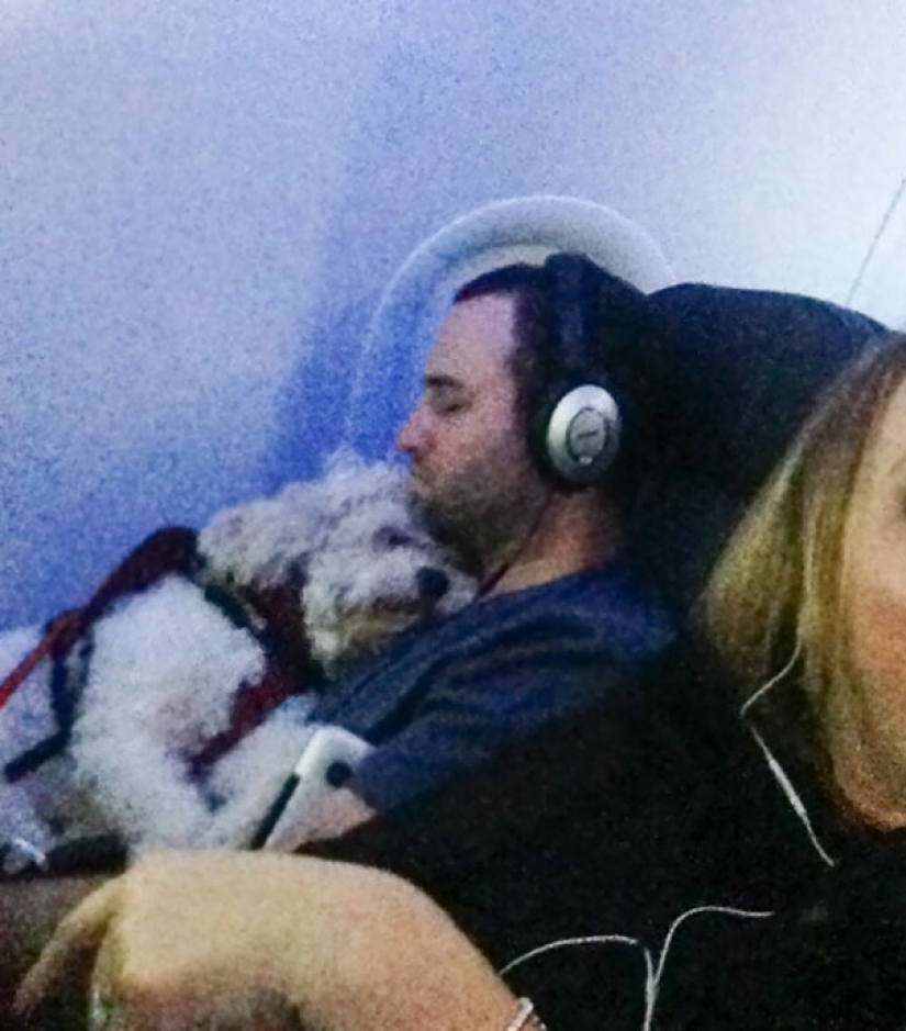 Netizens shared photos of strange neighbors on planes