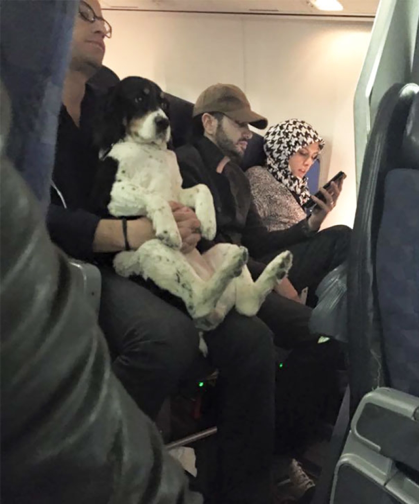 Netizens shared photos of strange neighbors on planes