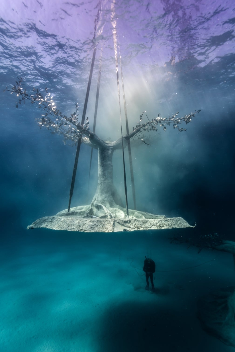 New Cypriot Underwater Sculpture Park in pictures
