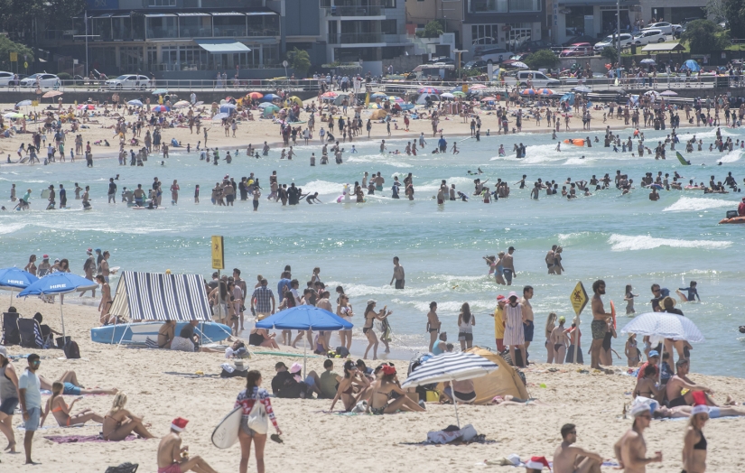 New Year and Christmas in Australian style: kangaroos instead of deer and Santa on a board with a paddle