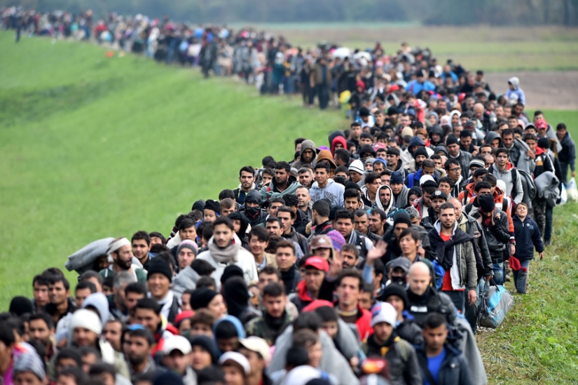 News in photos: the main shots of 2015