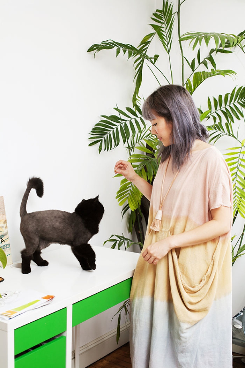 Niñas que han albergado gatos callejeros