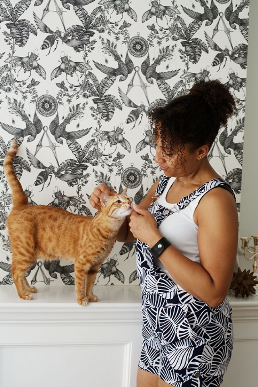 Niñas que han albergado gatos callejeros