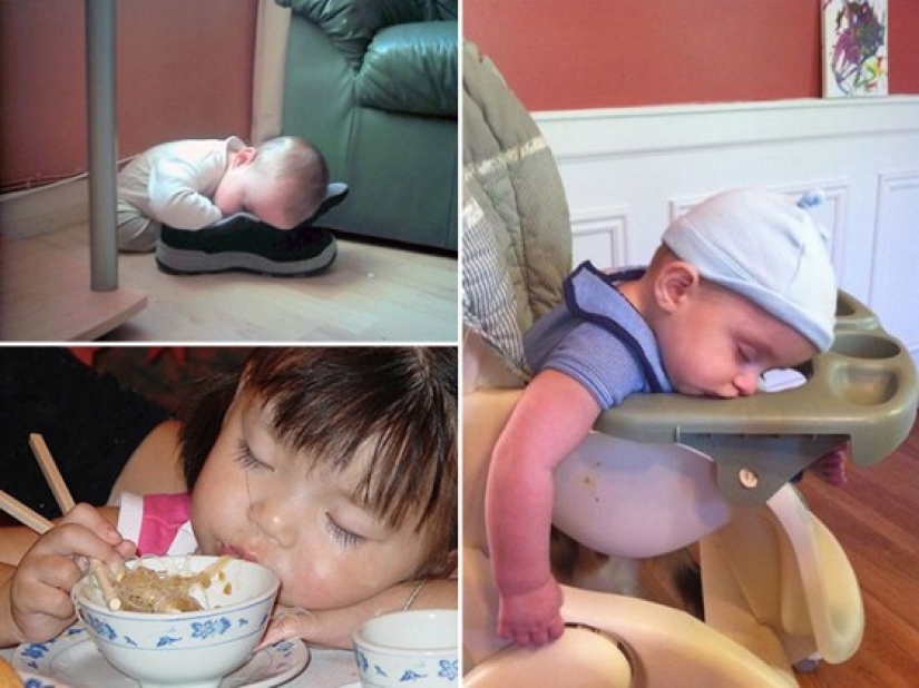 Niños que pueden quedarse dormidos absolutamente en cualquier lugar. Niños que pueden quedarse dormidos absolutamente en cualquier lugar.