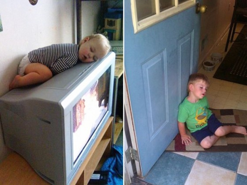 Niños que pueden quedarse dormidos absolutamente en cualquier lugar. Niños que pueden quedarse dormidos absolutamente en cualquier lugar.