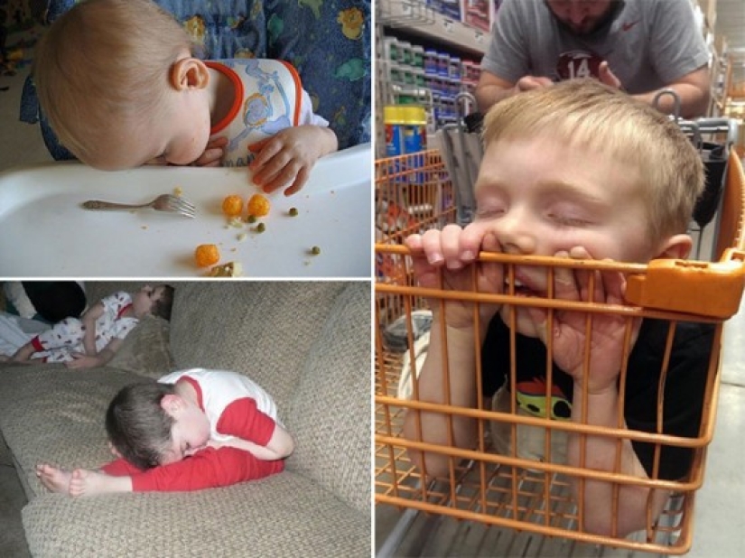 Niños que pueden quedarse dormidos absolutamente en cualquier lugar. Niños que pueden quedarse dormidos absolutamente en cualquier lugar.