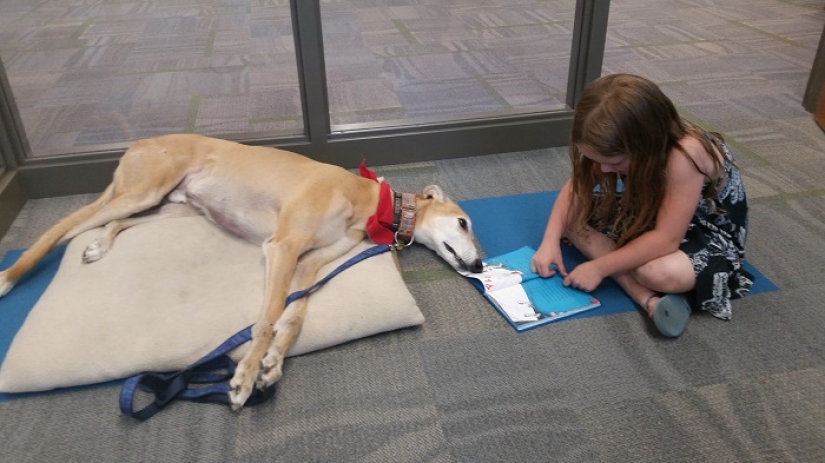 No one wanted to read aloud to the therapy dog. But thanks to the power of social networks, there is now a queue for him