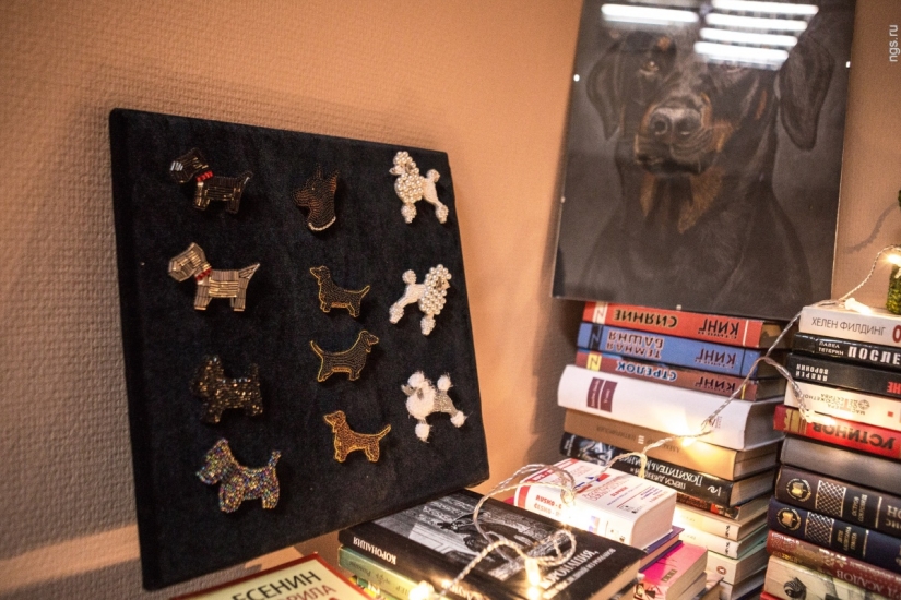 No puedes alimentarlos, pero puedes llevarlos a casa: se ha abierto un café con perros callejeros en Novosibirsk