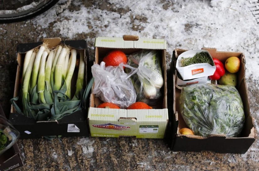 Nos alimentamos de la basura, ¿y tú?