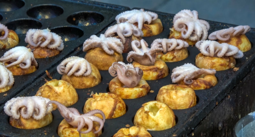 Not a single dog was injured: what to try from street food in seoul