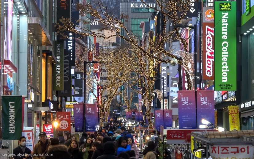 Not a single dog was injured: what to try from street food in seoul