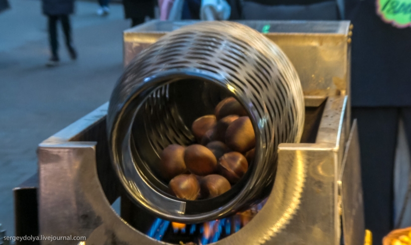 Not a single dog was injured: what to try from street food in seoul