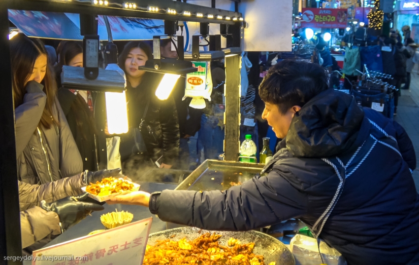 Not a single dog was injured: what to try from street food in seoul