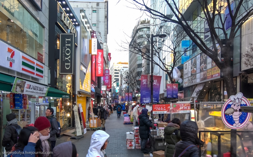 Not a single dog was injured: what to try from street food in seoul