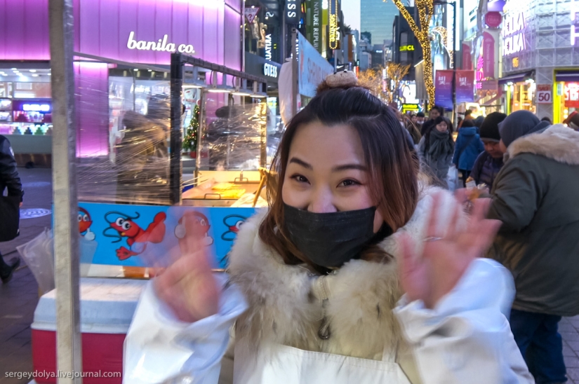 Not a single dog was injured: what to try from street food in seoul