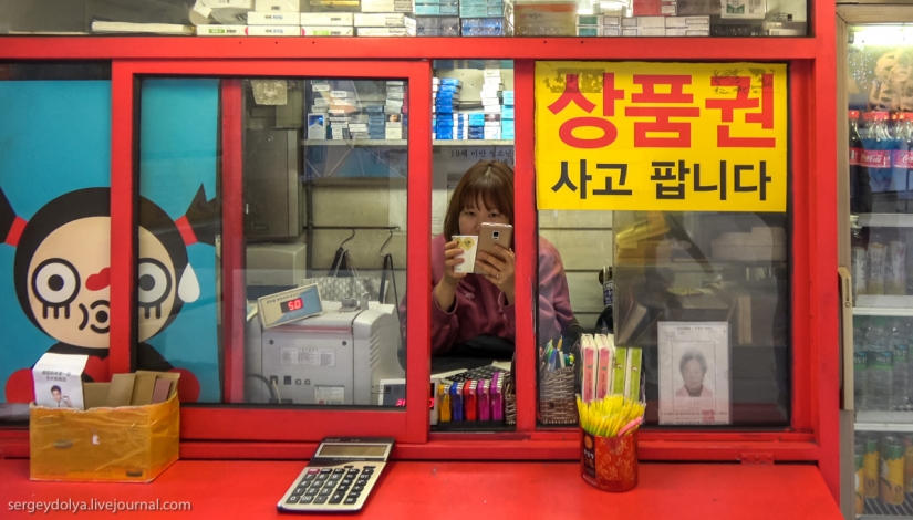 Not a single dog was injured: what to try from street food in seoul
