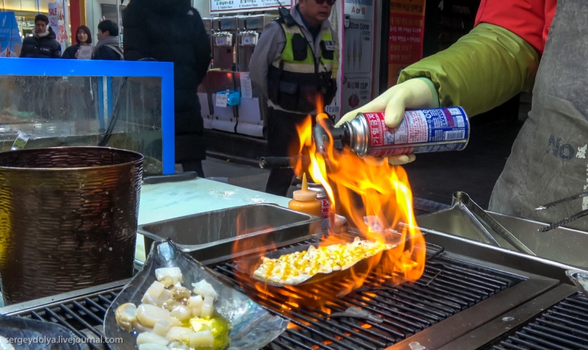 Not a single dog was injured: what to try from street food in seoul