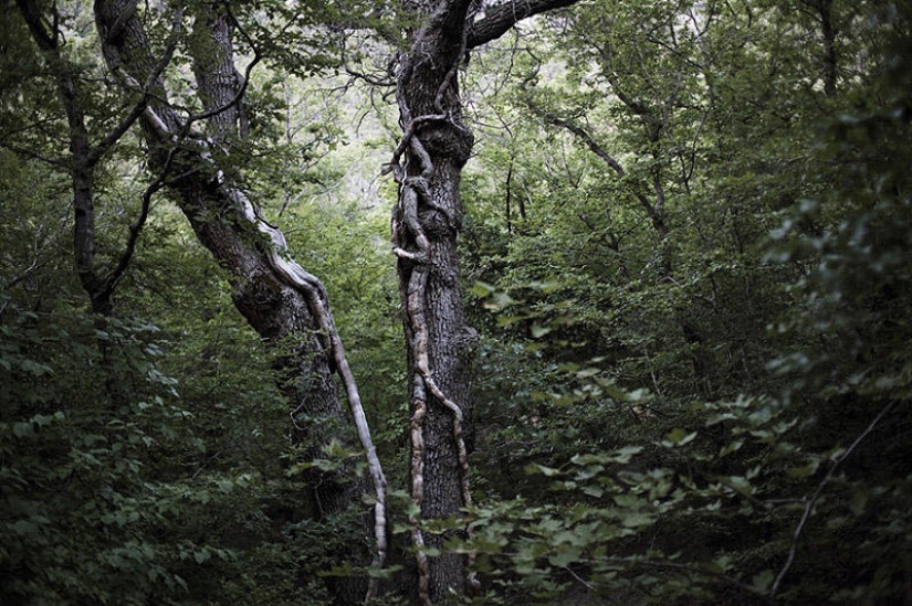 Not like everyone else: a new generation in Russia in the works of a Dutch photographer