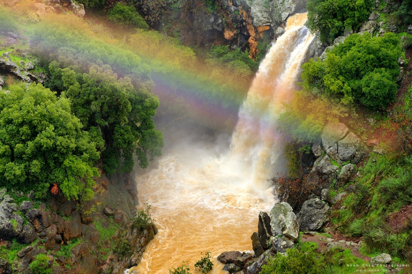 Nunca adivinarás dónde está: una mezcla de cultura mundial y naturaleza en un pequeño país de Oriente Medio