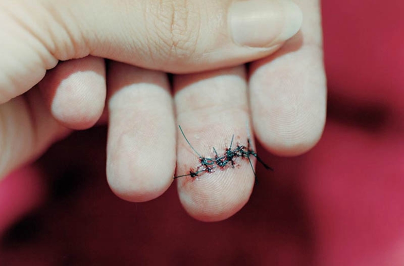 Nunca más cerca: las fotos familiares de Elinor Carucci de la serie" Closer" Nunca más cerca: las fotos familiares de Elinor Carucci de la serie" Closer"