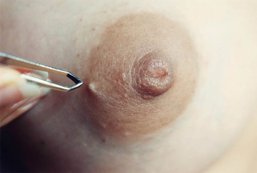 Nunca más cerca: las fotos familiares de Elinor Carucci de la serie" Closer" Nunca más cerca: las fotos familiares de Elinor Carucci de la serie" Closer"